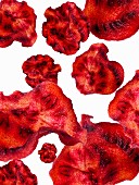 Beetroot chips (seen from above)