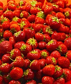 Viele Erdbeeren