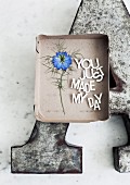 Pressed love-in-a-mist flower (Nigella 'Moody blues') next to affectionate message arranged in cardboard box lid on large metal letter