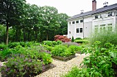 A garden with gravel paths and beds of herbs