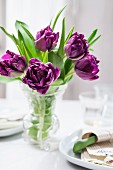 Lila Tulpen in einer Glasvase auf weiss gedecktem Tisch