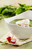 Spinach soup with a poached egg and radishes