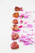 Row of flower bulbs on paper decorated with purple floral pattern
