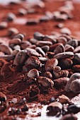 Kakaopulver und Kakaobohnen