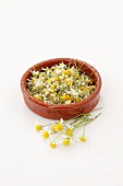 Dried camomile flowers in a terracotta dish