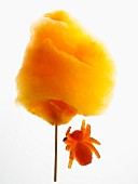 Orange candy floss and a jelly spider