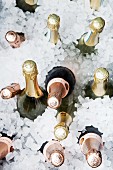 Champagnerflaschen in Eiswasser