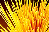 Bunch of spaghetti (detail)