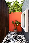 Narrow courtyard of Mexican house with black and white, trencadis tiled floor, wall painted terracotta and window accentuated by white frame