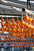 Persimmons hung out to dry (Japan)