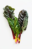 Red and yellow chard leaves