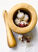 Garlic in a mortar