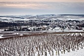 Blick vom Les Clos Weinberg auf die Stadt Chablis (Yonne, Frankreich)