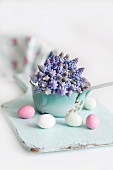 Easter eggs and grape hyacinths