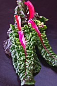 Red chard leaves