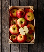 A crate of Elstar apples