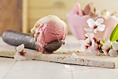 Neopolitan ice cream in an ice cream scoop