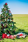 Weihnachtsgeschenke unter geschmücktem Tannenbaum auf Wiese im Freien