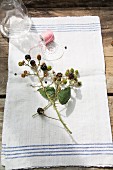 A sprig of blackberries on a garden table