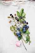 Sprogs of blackberries and sloes with leaves and fruit on a linen cloth