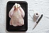 A ready-to-roast organic chicken with a knife and kitchen twine