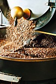 Coffee beans falling into the drum of a roasting machine