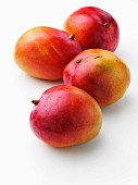 Vier Mangos