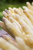 White asparagus (close-up)