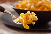Macaroni and cheese on a fork