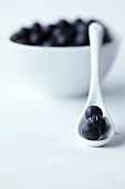 Blueberries on a white porcelain spoon and in a white bowl