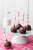 Five raspberry chocolate cake pops on a cake stand with a bottle of milk in the background