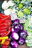 Various types of vegetables at a market