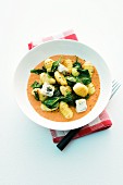 Gnocchi with gorgonzola and spinach in tomato sauce
