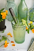 Apple and cucumber juice garnished with fennel leaves