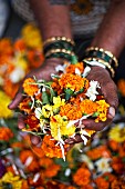 A handful of flowers at a flower market in Mumbai, India