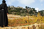 Mönch im Weinberg unterhalb des Klosters Mar Moussa, Libanon
