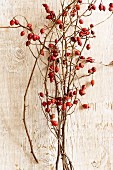 Branches of rosehips on wooden surface (top view)
