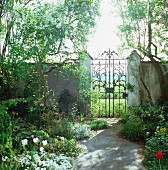 Blick auf frühlingshaften Garten mit Gartenmauer & schmiedeeisernem Tor