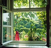 View through open window into summery garden