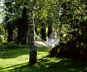 Hängematte zwischen Birken in sonnigem Garten
