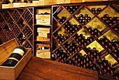 Solaia-Weinflaschen im Archivkeller der Villa Antinori Tignanello, Montefiridolfi, Toskana, Italien