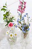Vases of various flowers: forget-me-nots, pinks, apple blossom, daisies, hyacinth