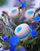 Macaroons with a blue filling