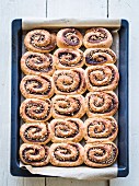 Freshly baked cinnamon rolls on a baking tray