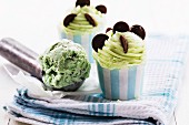 Mint chocolate chip cupcakes chocolate biscuits and mint ice cream