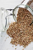 Buckwheat falling out of an overturned storage jar