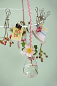 Flowering dog rose and sprigs of rose hips clipped to white metal circle with metal clips