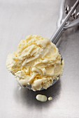 Vanilla ice cream in an ice cream scoop