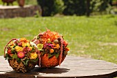 Herbstliche Blumengestecke in mit Linsen beklebten Styroporschalen auf Holztisch im Freien