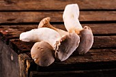 Fresh king trumpet mushrooms on a wooden crate